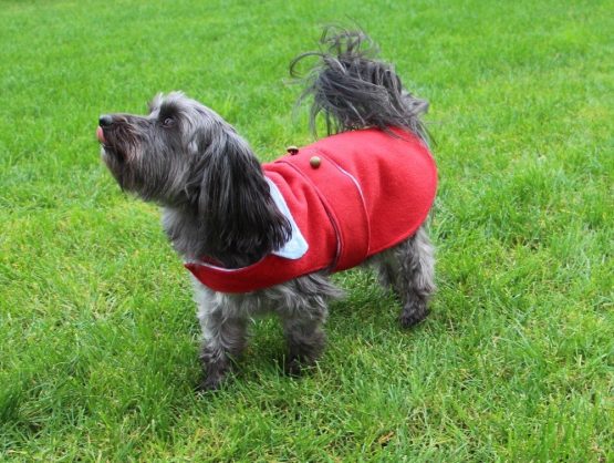 Jasper Jacket for Dogs PDF Sewing Pattern - The Tailoress PDF Sewing Patterns