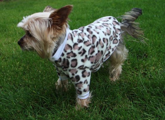 18 Sizes Dog Sweater PDF Pattern - Fido Jumper - The Tailoress PDF Sewing Patterns