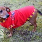 New Jasra Tee for Dachshunds by Eight Trees Company - The Tailoress PDF Sewing Patterns