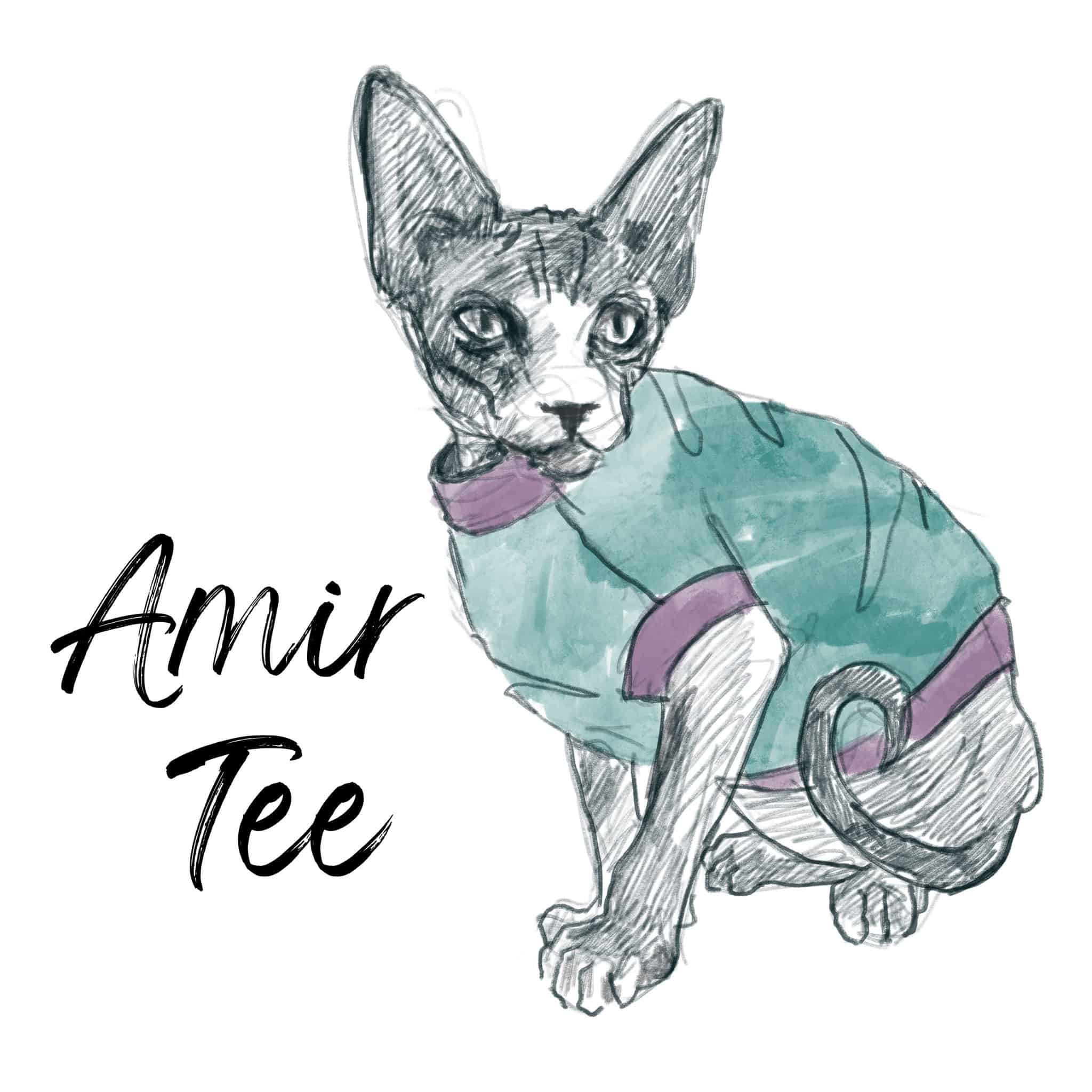 50 Sizes Cat Sweater Sewing Pattern - Amir Tee & Jumper for Sphynx - The Tailoress PDF Sewing Patterns
